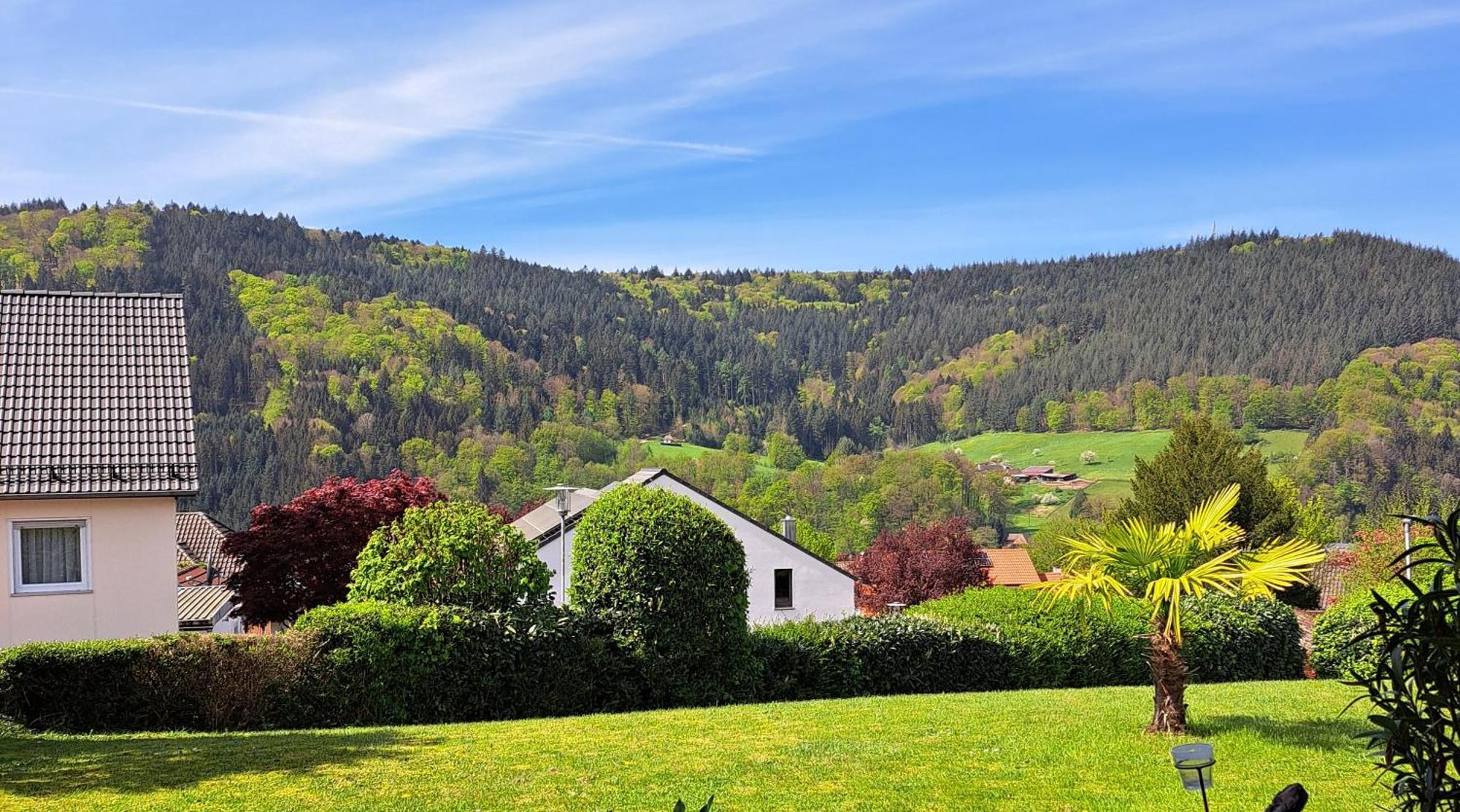 Seelenbaumler Seelbach  Exteriér fotografie